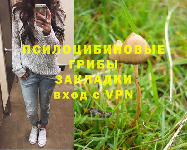 ALPHA-PVP Киреевск