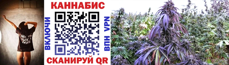Купить закладки  Балтийск  Шишки марихуана Bruce Banner 